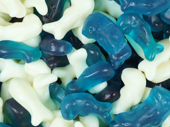 Jelly Dolphins