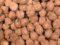 Chewing Nuts